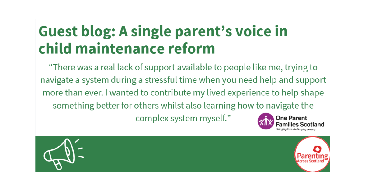 The image reads 'Guest blog: A single parent's voice in child maintenance reform'